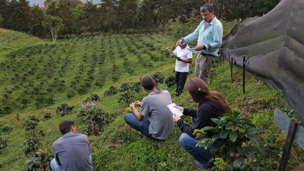 coffee growers