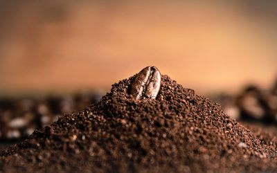 4 Simple Ways to Grind Your Favorite Coffee Beans Without a Coffee Grinder