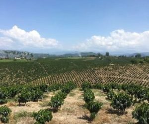 Colombia Report: Drought and Screen Sizes