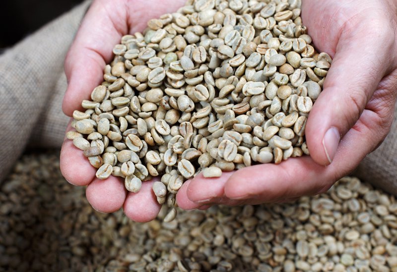 Green Coffee Beans for Sale What to Look for When Buying Green Coffee Beans Green Coffee Beans Wholesale