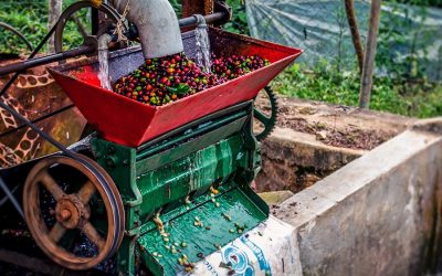 The Important Role Coffee Importers Have As Wholesale Coffee Suppliers