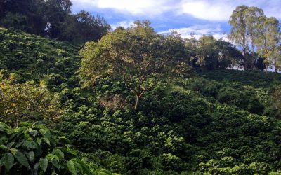 UPDATED NEWS ON SITUATION IN COLOMBIA