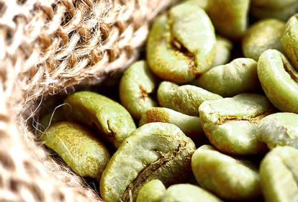 Green coffee beans in a jute bag