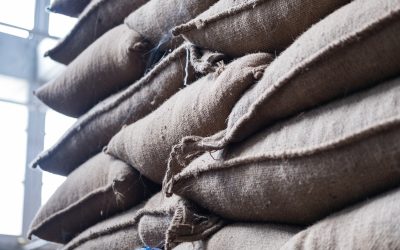 How to Properly Store Your Green Coffee Beans Before Roasting