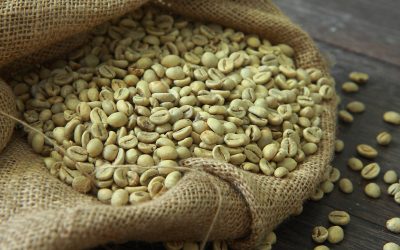 World Coffee Research: Why We Support Them and You Should Too
