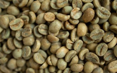 Green Coffee Beans Wholesale with ICT