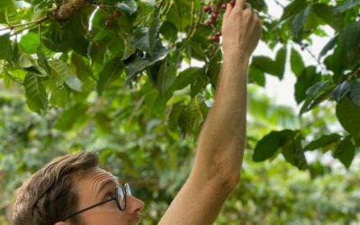 Why You Should Be Roasting Ugandan Coffee