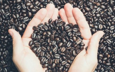 Why People Love Sumatra Coffee: A Comprehensive Guide