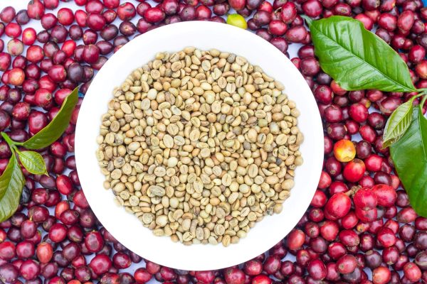 Microlot Coffee is Worth the Investment