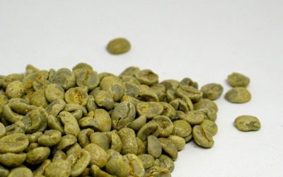 Green Malawi Coffee Beans: Your Guide to Flavor, Processing & Sourcing