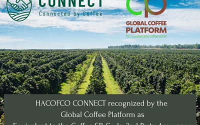 Intercontinental Coffee Trading Advances Sustainability Through HACOFCO CONNECT Recognition