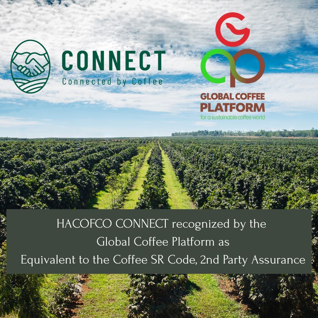 Sustainable Coffee Sourcing HACOFCO CONNECT certification emblem, representing ICT's commitment to sustainable coffee sourcing practices