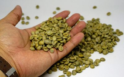 What Questions Should You Ask Green Coffee Suppliers?