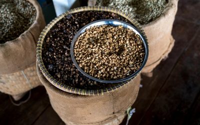 Is Single-Origin Coffee the Best Coffee You Can Buy?