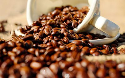 Hybrid Coffee Beans – A Guide to Modern Coffee Varieties