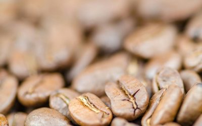 Does Coffee Bean Size Affect Flavor?