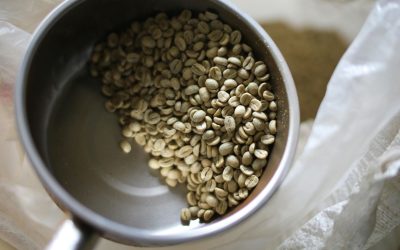 Why Brazil 14/16 Sul de Minas SSFC BRASCOF Sets the Gold Standard for Specialty Coffee