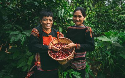 What Are the World’s Leading Coffee Growing Regions?