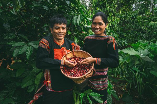the worlds Coffee production