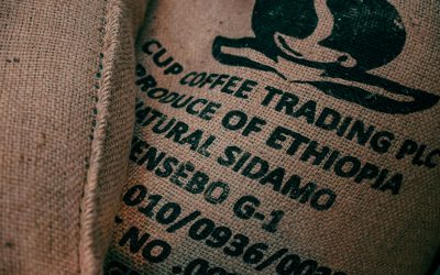 African Coffee Bean Flavor Profiles – Regional Guide for Roasters