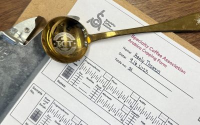 Why Cupping Is Critical for Your Coffee Business