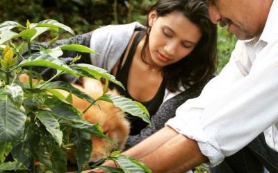 Building Coffee Loyalty Through Origin Stories
