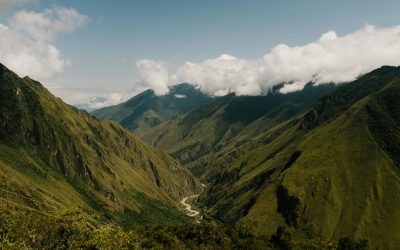 How Growing Conditions Shape Coffee