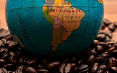 Understanding Coffee Certifications