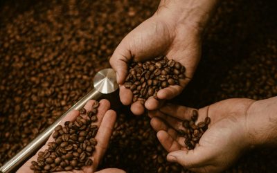 Roasting for Cupping vs. Production: Two Different Approaches