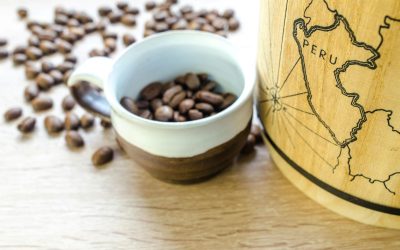 The Relationship Between Roast Level and Origin Character