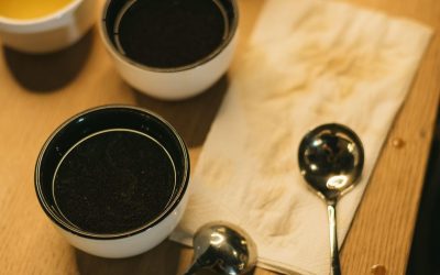 Building a Coffee Flavor Reference Library for Your Team