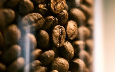 End Temperature vs. Development Time: Finding Balance