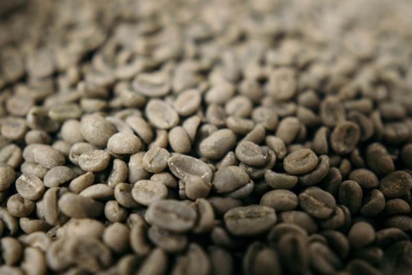 Heirloom Coffee Varieties