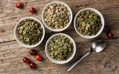 Building a Diverse Origin Menu: A Green Coffee Sourcing Strategy