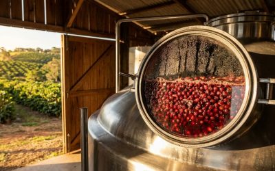 Anaerobic and Co-Fermented Coffees: A Roaster’s Guide to the Processing Trend Reshaping Specialty